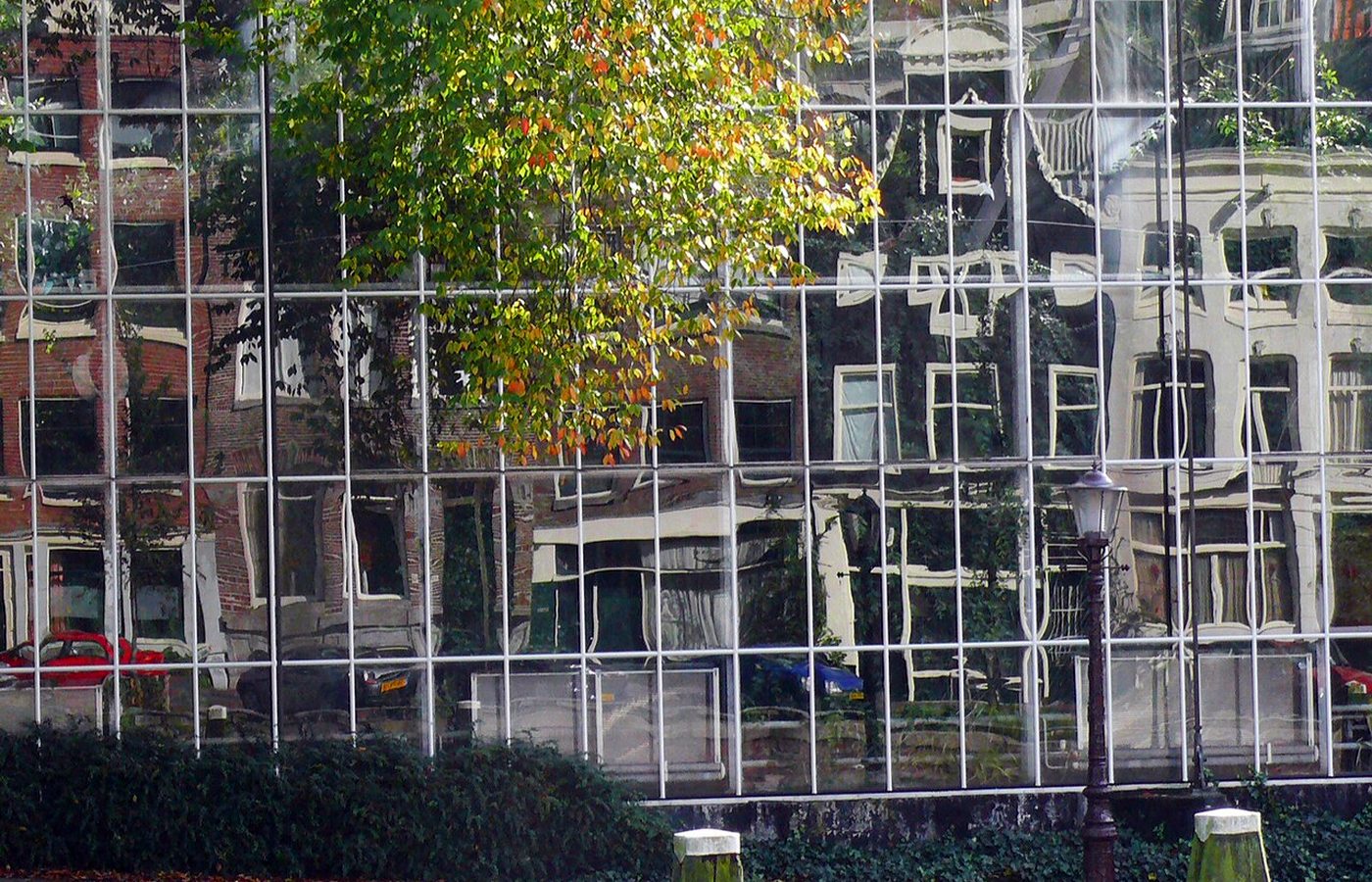 Façade vitrée d’un bâtiment et feuillage reflété